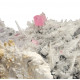 Rhodochrosite, Quartz, Pyrite, Galena, Fluorite sweet home mine