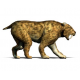 Pogonodon platycopsis (saber cat)