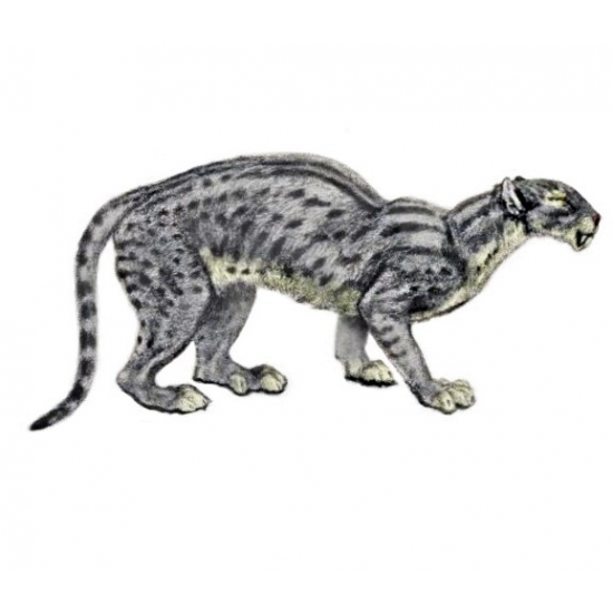 dinictis felina (saber cat)