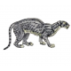 dinictis felina (saber cat)