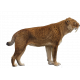 Hoplophoneus primaevus (saber cat)