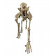 Hoplophoneus primaevus (saber cat) skeleton