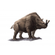 Bronthotherium megaceratops jaw Bronthotherium megaceratops jaw