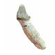 Bronthotherium megaceratops tooth