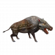 archaeotherium mortoni (skull)