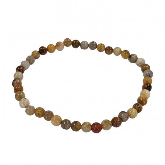 petoskey stone fossil coral Bracelet 4mm