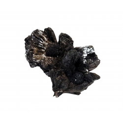 Goethite - Onegite
