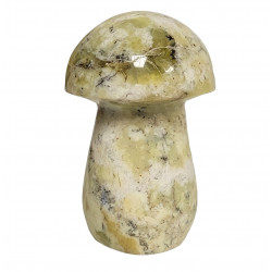 Champignon opale dendrite