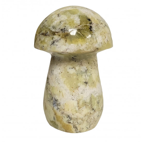 mushroom dendrite opal