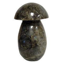 Champignon labradorite