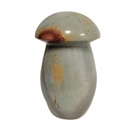 Champignon jaspe polychrome