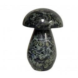 Champignon jaspe kambaba