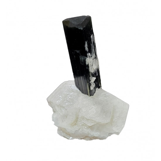 green cap tourmaline on albite
