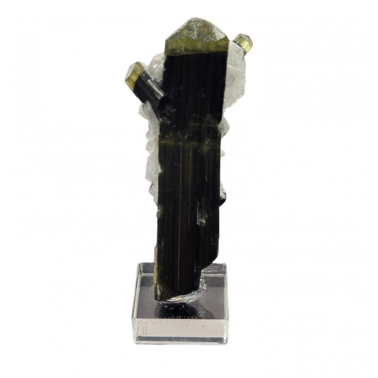 green cap tourmaline on albite