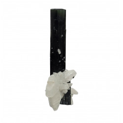 green cap tourmaline on albite