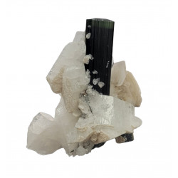 green cap tourmaline on albite