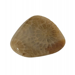 tumbled stone Petoskey stone