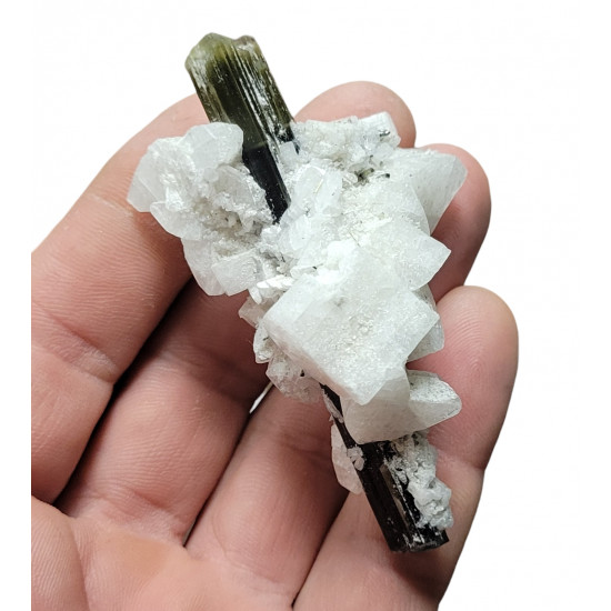 green cap tourmaline on albite