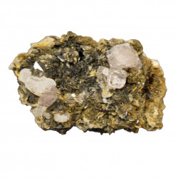 apatite rose