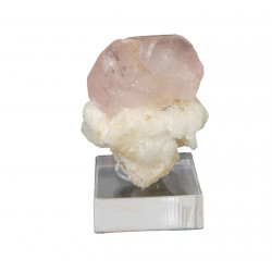 apatite rose