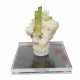 green tourmaline