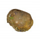 Ethiopian Opal