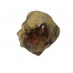 Ethiopian Opal
