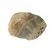 Ethiopian Opal