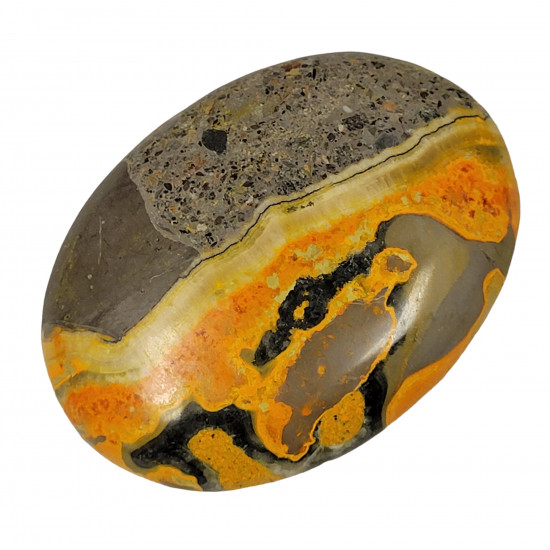 Palm stone bumblebee jasper