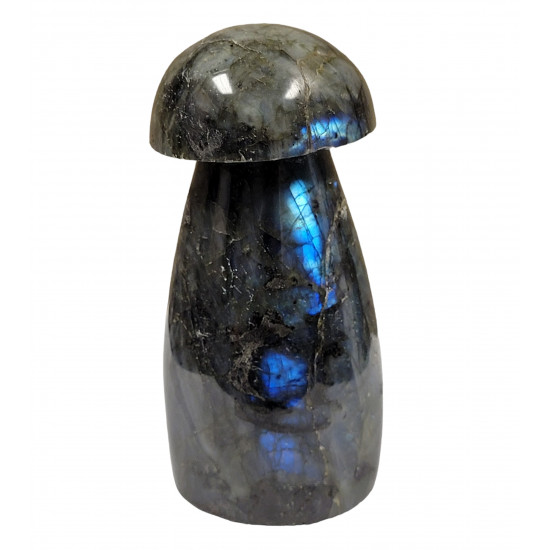 mushroom labradorite