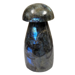 Champignon labradorite