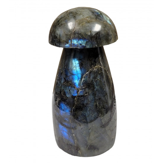 mushroom labradorite