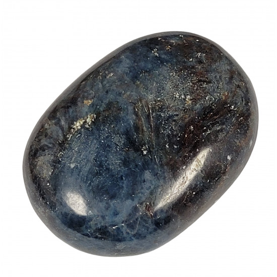 Palm stone kyanite ruby