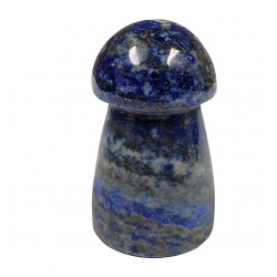 Champignon lapis lazuli