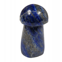Champignon lapis lazuli
