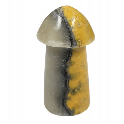 Champignon jaspe bumblebee