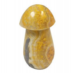 Champignon jaspe bumblebee