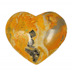 bumblebee jasper heart