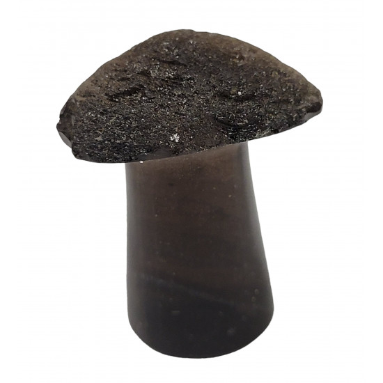 mushroom Agni-Manitite tektite