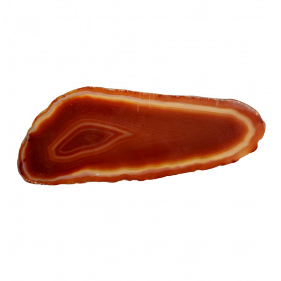 orange agate slice