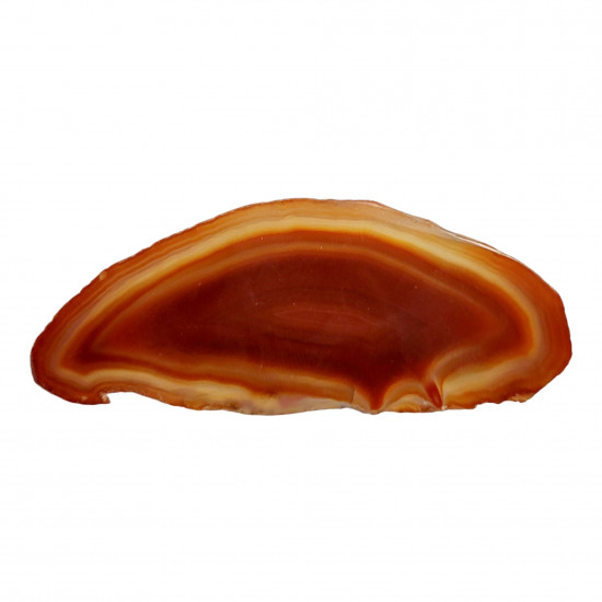 orange agate slice