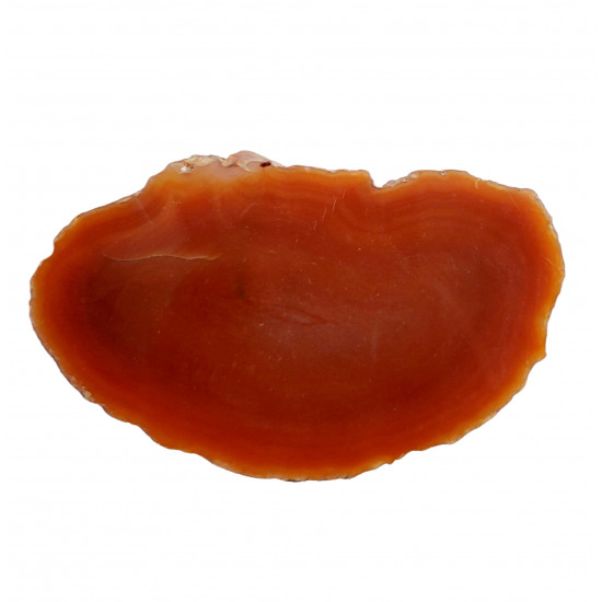 orange agate slice