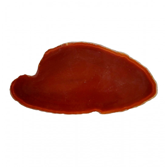 orange agate slice