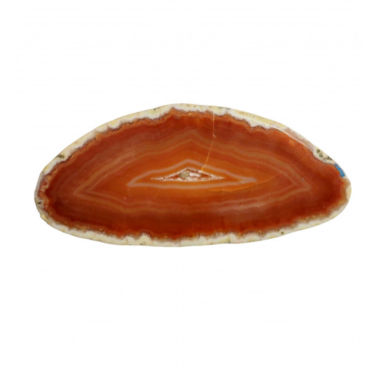orange agate slice