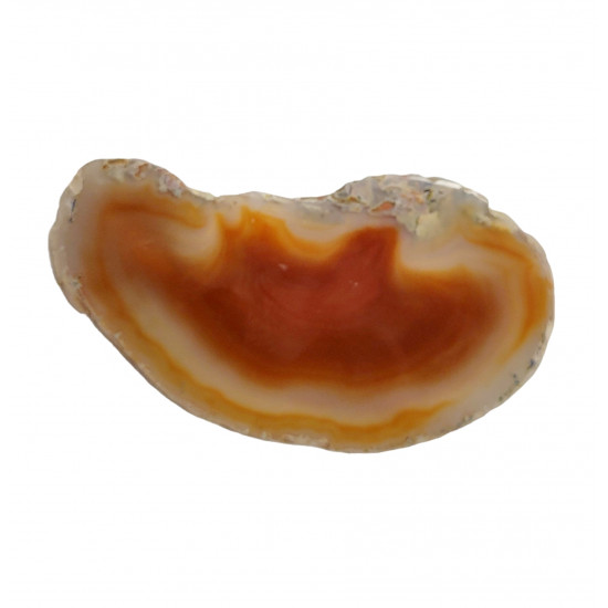 orange agate slice
