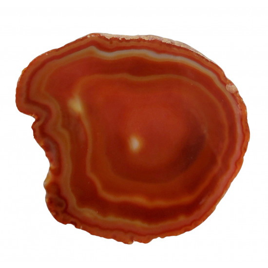orange agate slice