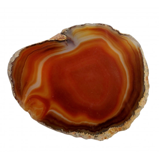 orange agate slice