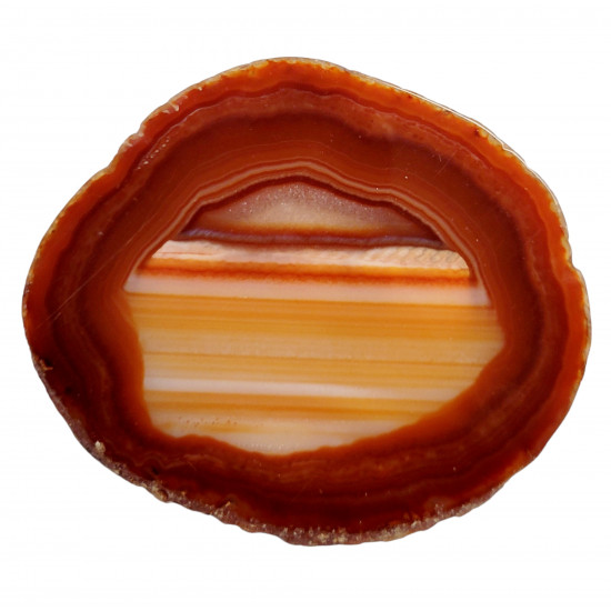 orange agate slice