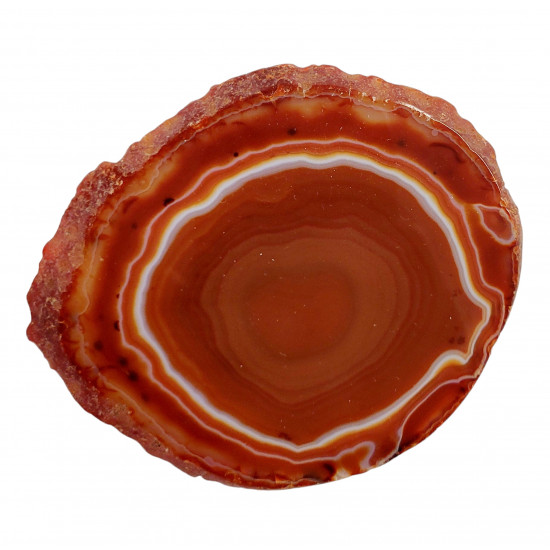 orange agate slice