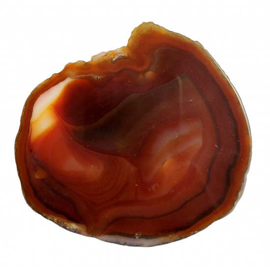 orange agate slice